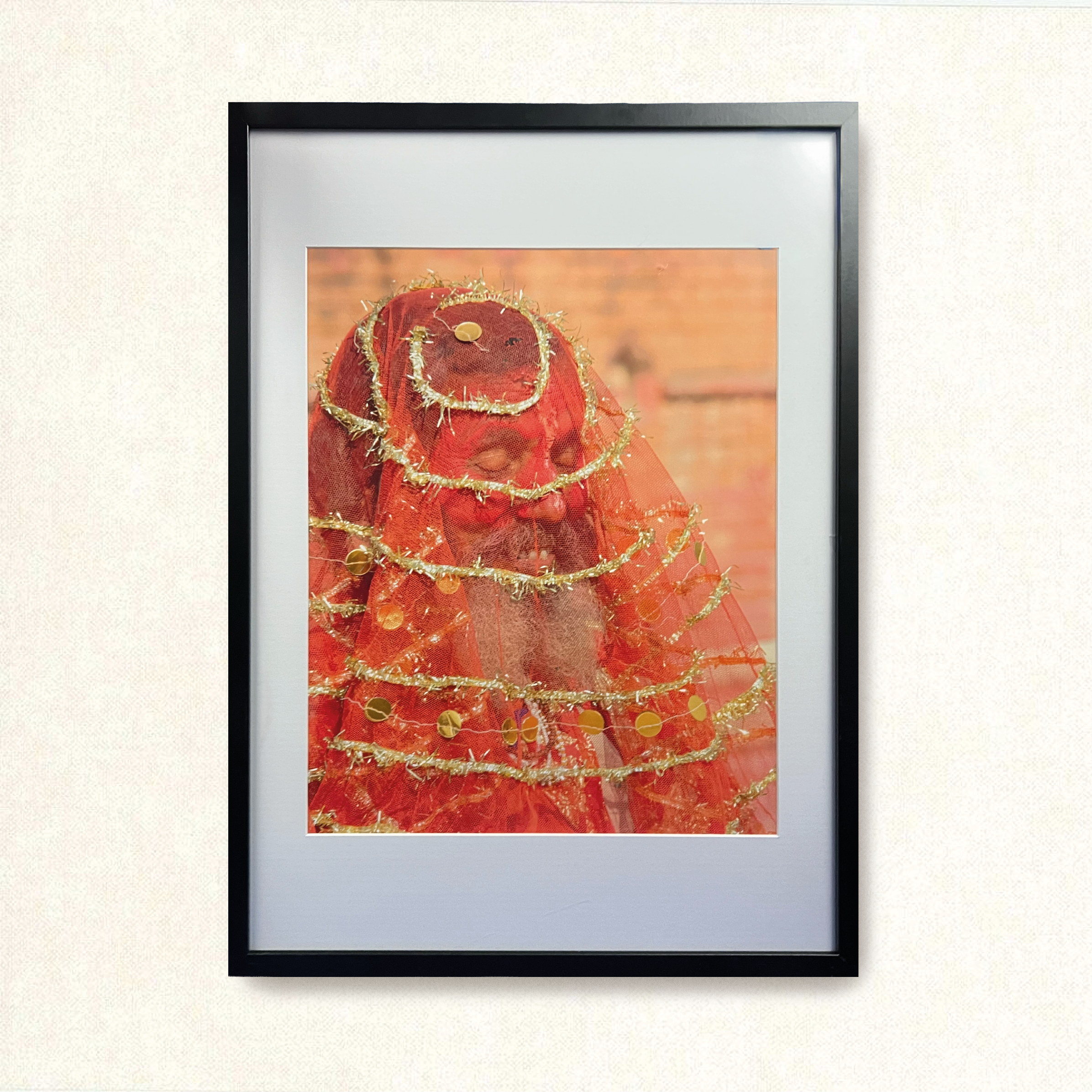 Red and gold Sâdhu